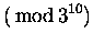 $\displaystyle (\rm\,mod\,3^{10})$
